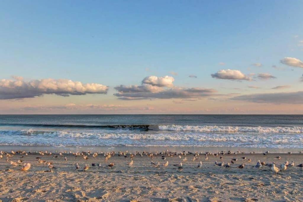 *Renovated Oceanfront Condo*Queen Beds*Pools*Hot Tubs*More*P220 Μιρτλ Μπιτς Εξωτερικό φωτογραφία