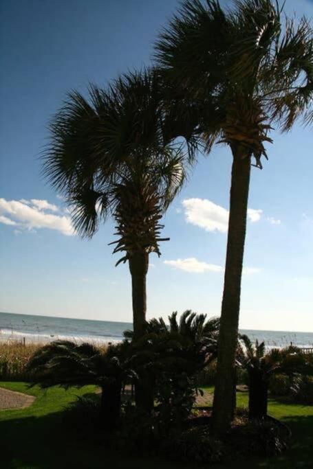 *Renovated Oceanfront Condo*Queen Beds*Pools*Hot Tubs*More*P220 Μιρτλ Μπιτς Εξωτερικό φωτογραφία